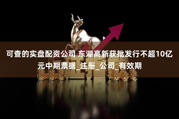 可查的实盘配资公司 东湖高新获批发行不超10亿元中期票据_注册_公司_有效期