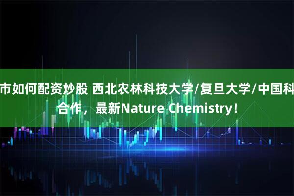 股市如何配资炒股 西北农林科技大学/复旦大学/中国科大合作，最新Nature Chemistry！